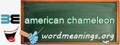 WordMeaning blackboard for american chameleon